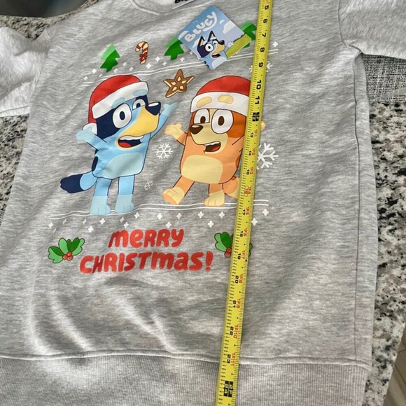 BLUEY & CHILLY HELLER UGLY CHRISTMAS SWEATSHIRT SZ S KIDS L GRAY CARTOON KAWAII - Picture 3 of 16